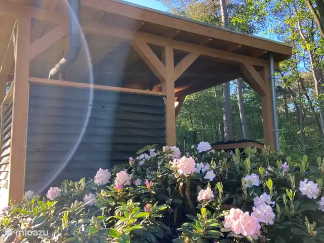 Location de Vacances Pays-Bas, Gueldre, Beekbergen, bungalow - Maison de vacances indépendante Veluwe