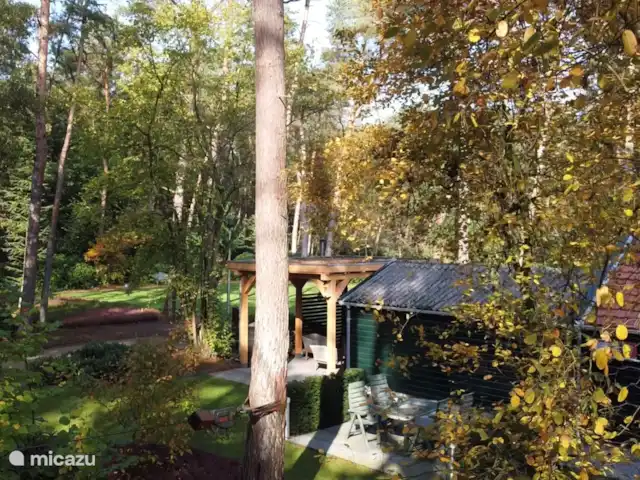 Location de Vacances Pays-Bas, Gueldre, Beekbergen, bungalow - Maison de vacances indépendante Veluwe