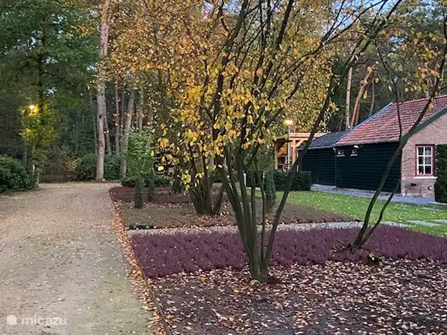 Location de Vacances Pays-Bas, Gueldre, Beekbergen, bungalow - Maison de vacances indépendante Veluwe