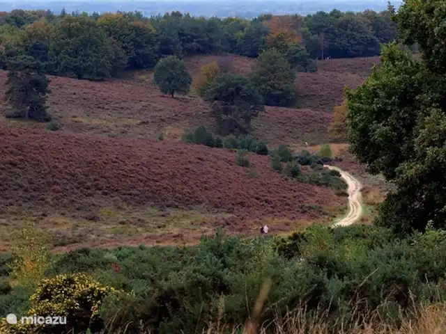 Location de Vacances Pays-Bas, Gueldre, Beekbergen, bungalow - Maison de vacances indépendante Veluwe bel environnement de marche et de cyclisme