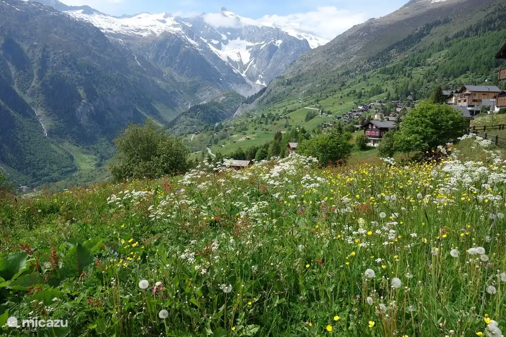 Vista del último tramo del Fischergletscher desde Bellwald