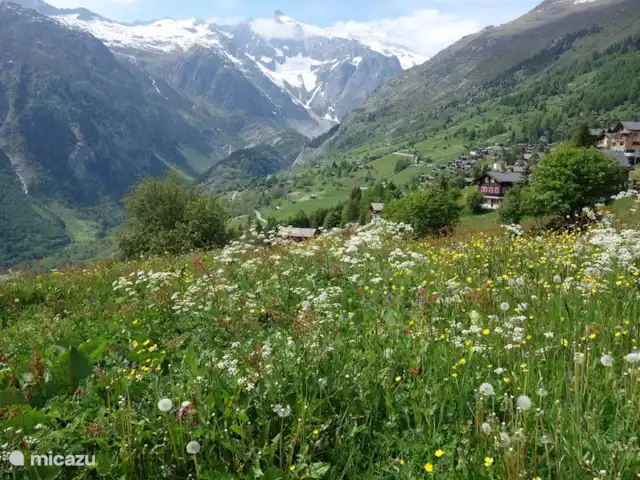 Gardevias | Suisse, Valais, Bellwald - chalet Vue du dernier tronçon du Fischergletscher depuis Bellwald