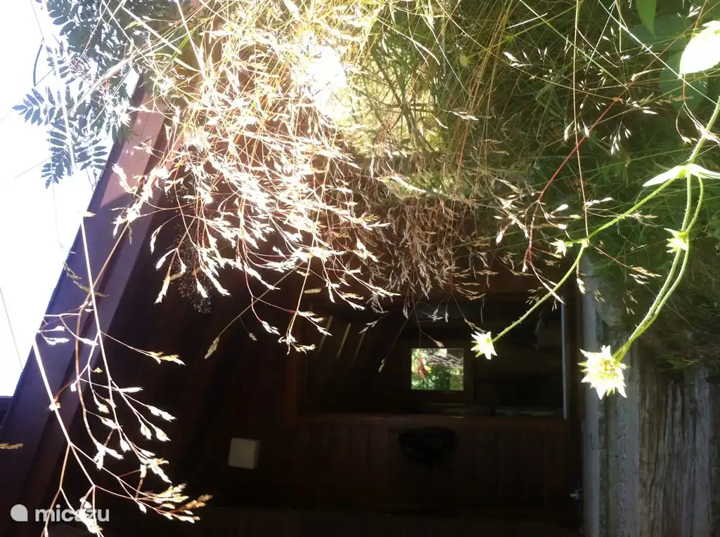 Abre la puerta principal