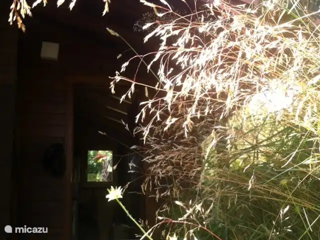 Gardevias | Suisse, Valais, Bellwald - chalet Porte d'entrée ouverte