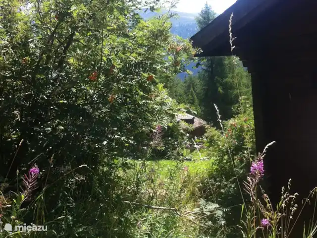 Gardevias | Suisse, Valais, Bellwald - chalet Chemin derrière