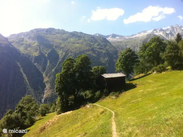 Gardevias | Suisse, Valais, Bellwald - chalet En route pour Eggen