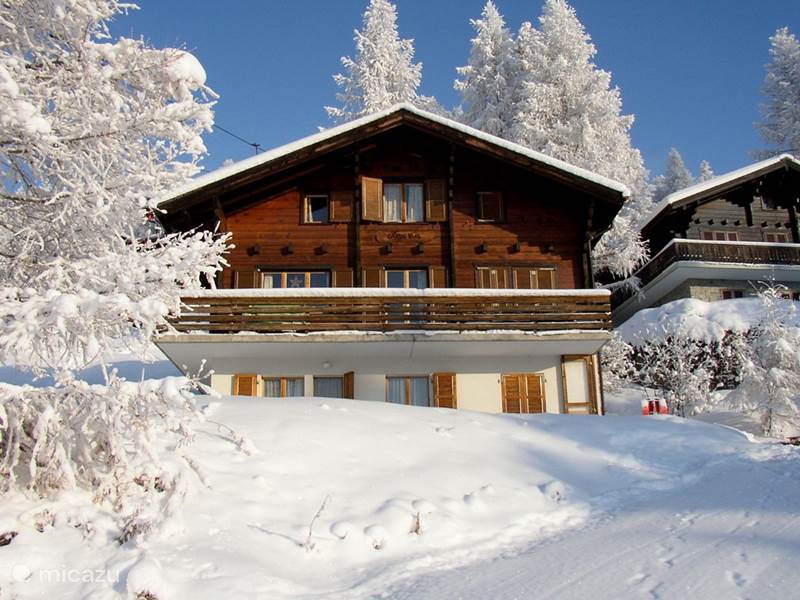Maison de Vacances Suisse, Valais, Bellwald Chalet Gardevias