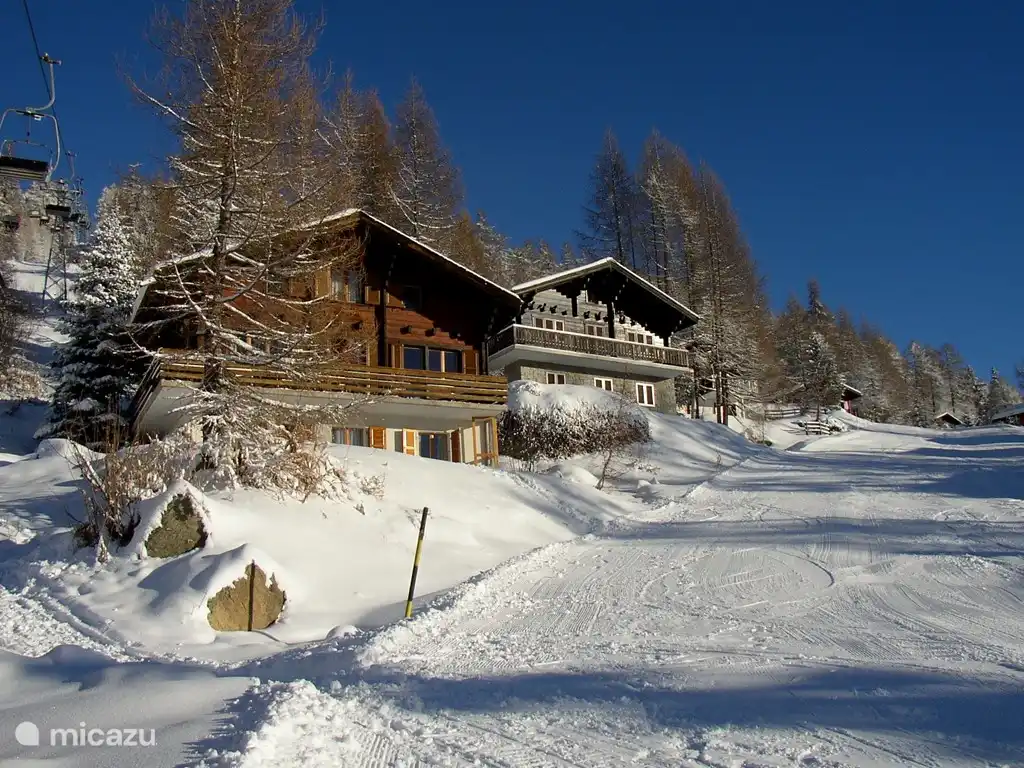 Directamente en las pistas