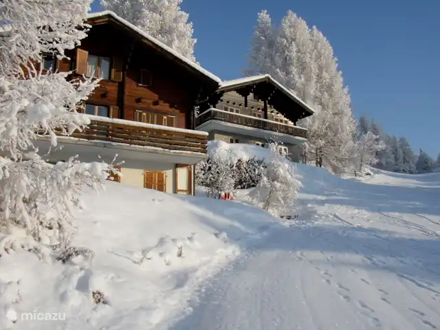 Gardevias | Suisse, Valais, Bellwald - chalet Gardevias sur les pistes