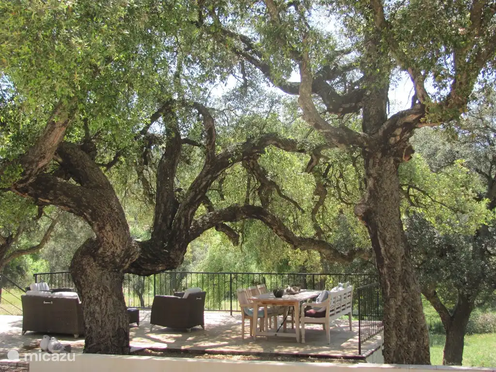 Villa Fontaine in Sainte-Maxime, Côte d´Azur, Frankreich mieten? | Micazu