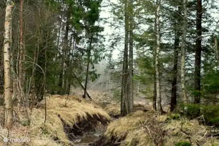 Vakantiehuis Noorwegen, Vestfold – blokhut / lodge Eco-Lodge Hasås setra y