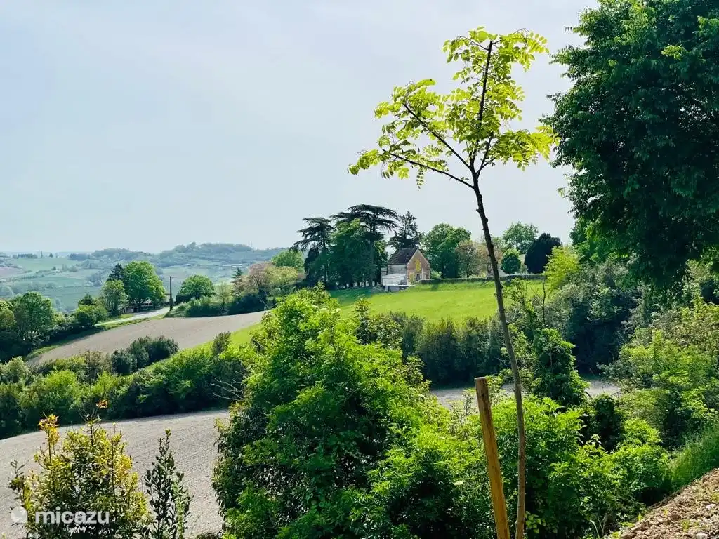 Hilly view to the house