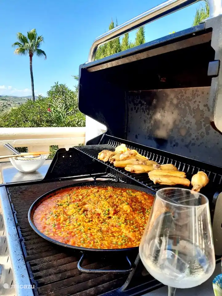 Onze gasbarbecue van Broil King 