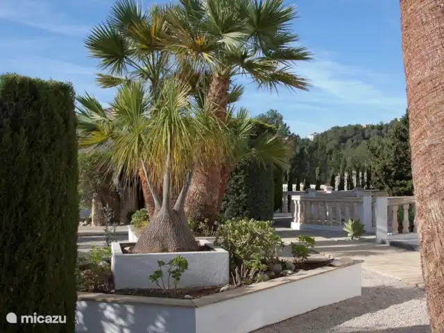 Location de Vacances Espagne, Costa Blanca, Moraira, villa - Casa Lucia Jardin méditerranéen avec palmiers, orangers et citronniers.