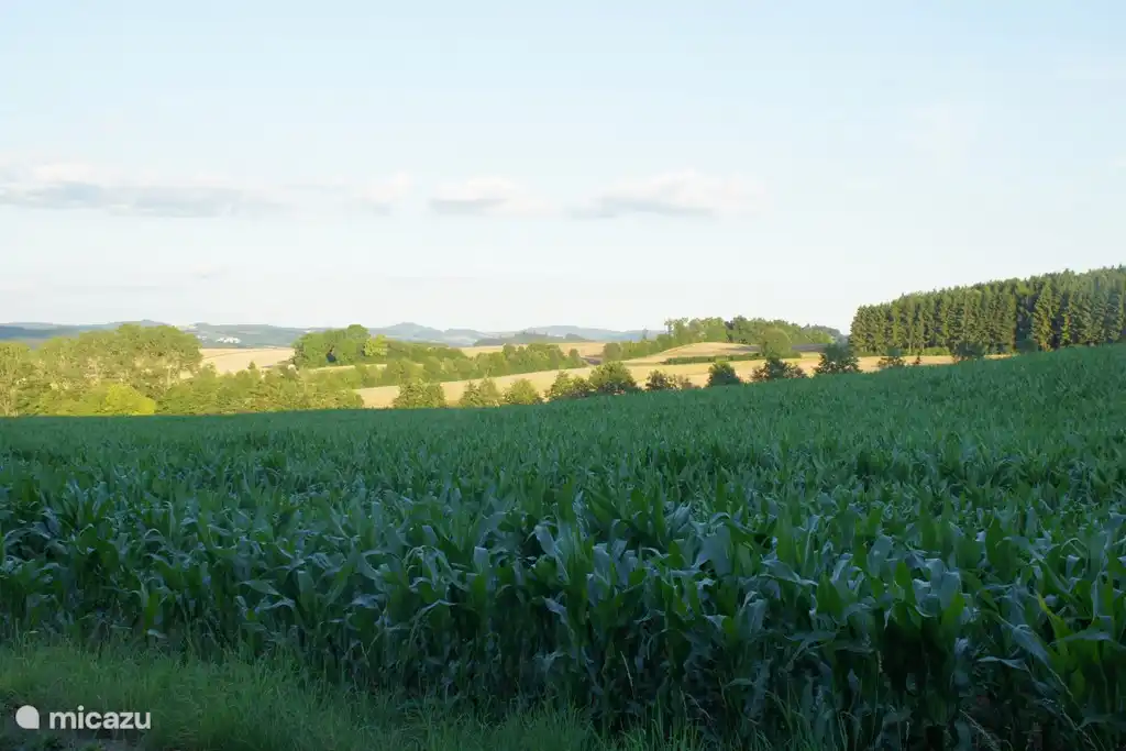 Unmittelbare Umgebung: neben der Hütte und dem Parkplatz.