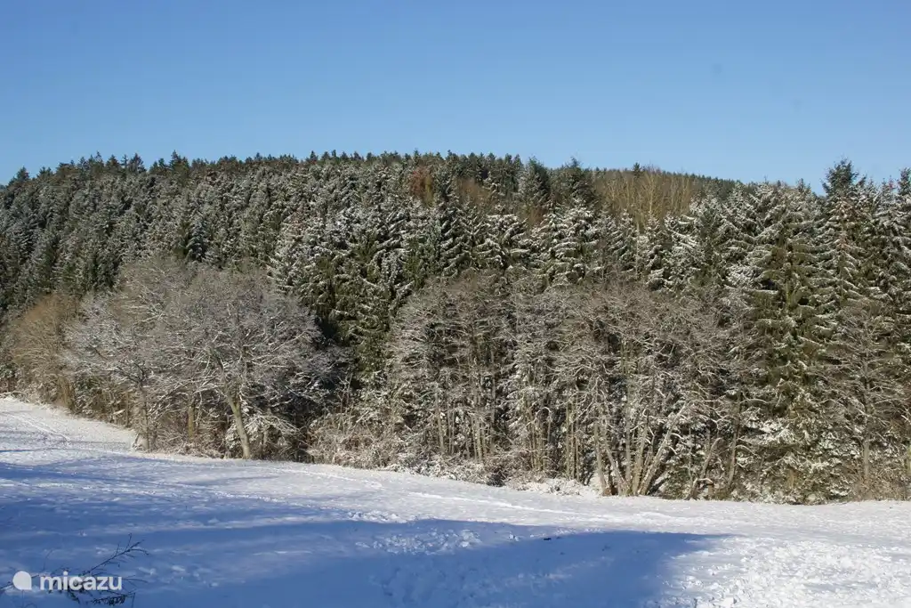 Folgen Sie dem Fußweg entlang der Häuser, nach 150 m sehen Sie in den ausgedehnten Wäldern sind!