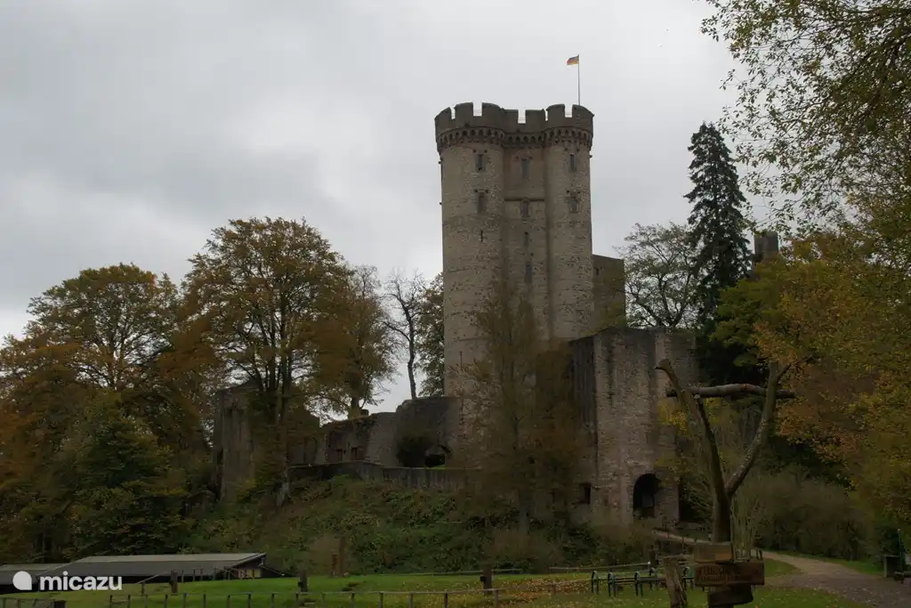 Wolf und Adler Park in und um das Schloss in Kassel Pelm, 16 km vom Haus entfernt.