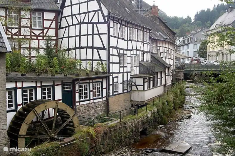 Monschau, 55 km