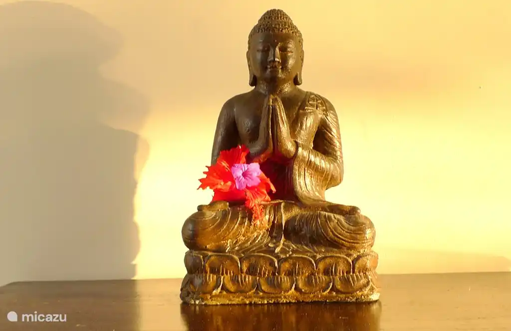 Die Dekorationen im Haus machen es gemütlich