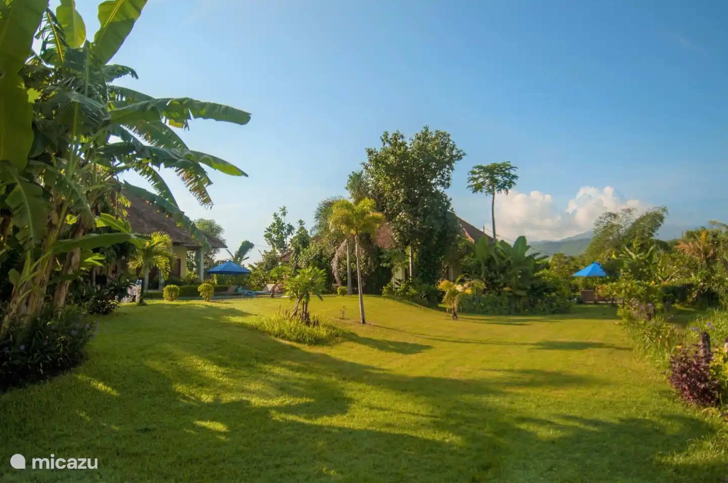 Die Villen haben alle einen sehr großen Garten