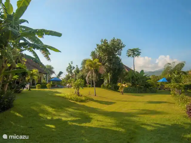 Location de Vacances Indonésie, Bali, Lovina, villa - Villa absolue face à la plage Les villas ont toutes un jardin très spacieux