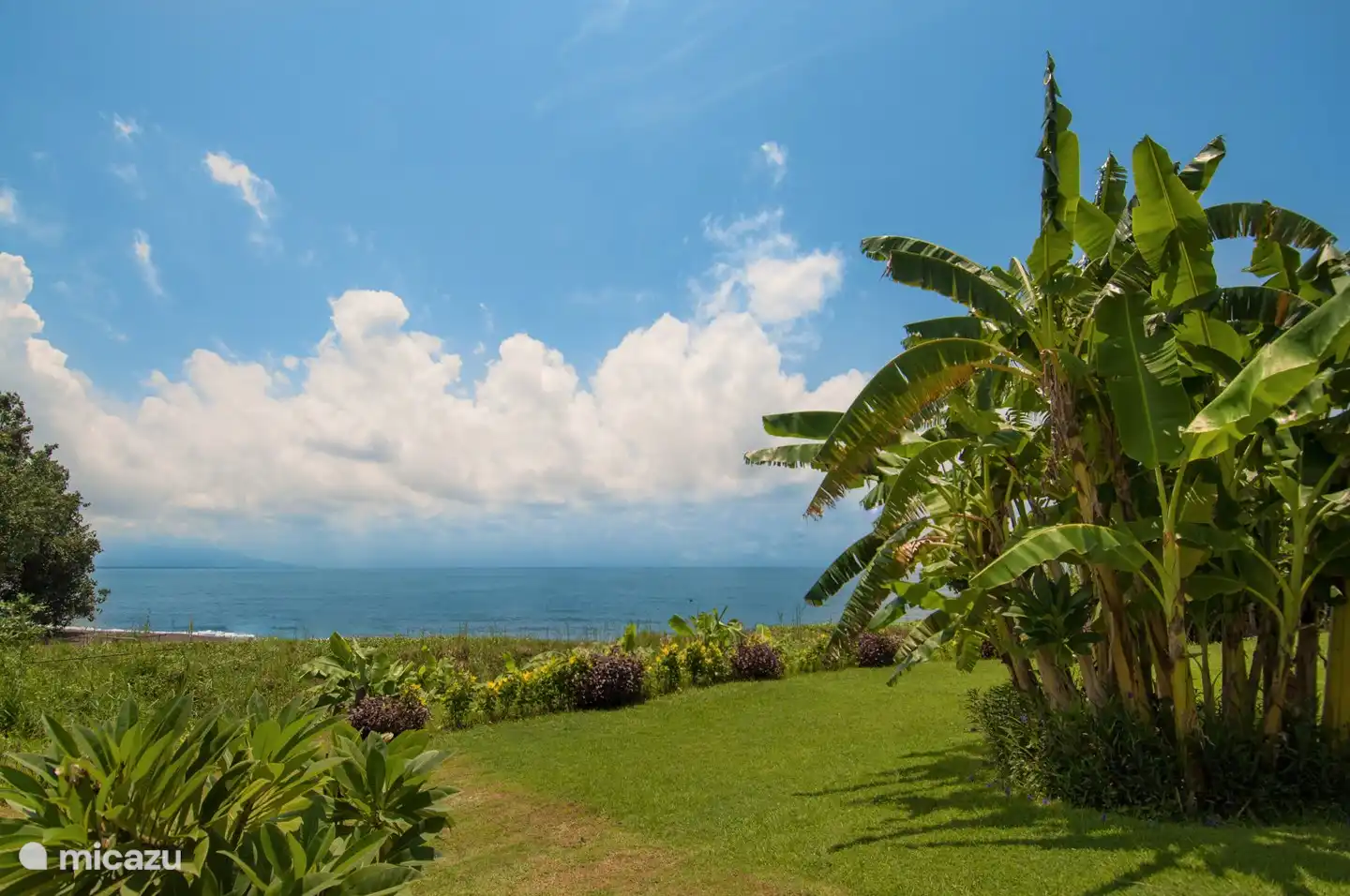 Die Villen haben alle einen sehr großen Garten