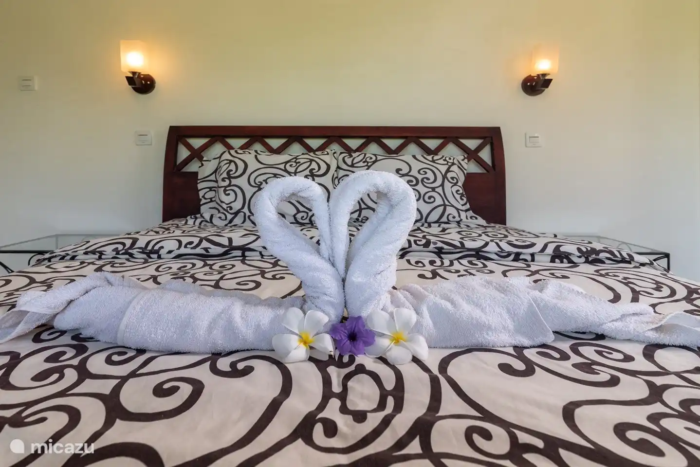 Schwäne von der freundlichen Haushälterin