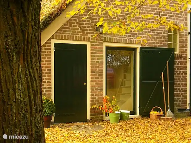 Location de Vacances Pays-Bas, Drenthe, Benneveld, appartement - Appartement de vacances 'Sous le tilleul' Sous le Linde en automne. Les feuilles jaunes du tilleul fournissent non seulement un beau feuillage, mais donnent également une belle lueur lorsque le soleil brille.