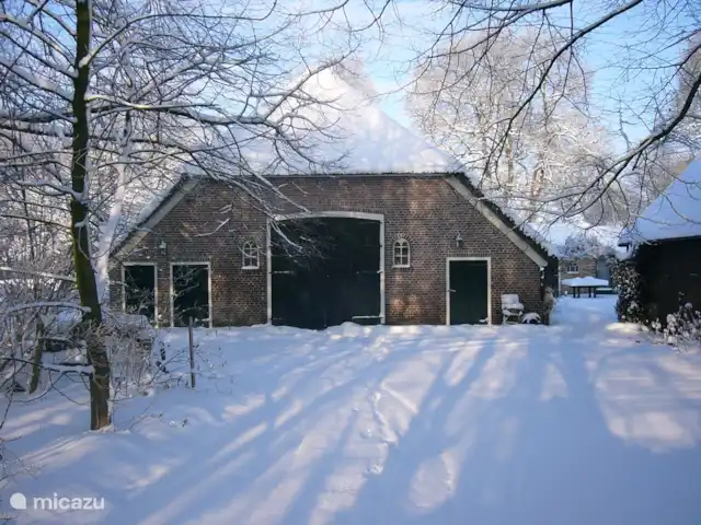 Location de Vacances Pays-Bas, Drenthe, Benneveld, appartement - Appartement de vacances 'Sous le tilleul' Sous le tilleul avec de la neige.