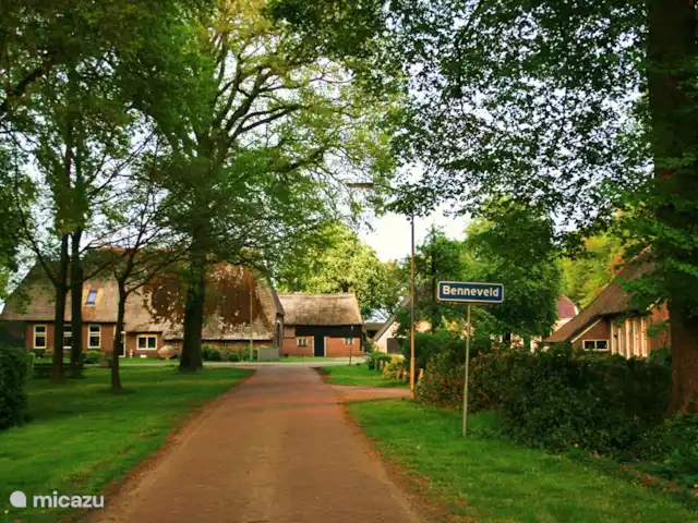 Location de Vacances Pays-Bas, Drenthe, Benneveld, appartement - Appartement de vacances 'Sous le tilleul' L'appartement est situé au vert et relève d'une vue village protégé. Au bord, vous trouverez la petite route qui mène au quartier calme. Idéal pour une promenade en soirée ou si vous souhaitez vous rendre au supermarché à pied (environ 2 km).