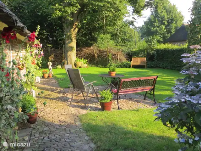 Location de Vacances Pays-Bas, Drenthe, Benneveld, appartement - Appartement de vacances 'Sous le tilleul' Le jardin offre beaucoup d’intimité avec du soleil et de l’ombre. En arrière-plan se trouve le tilleul monumental.