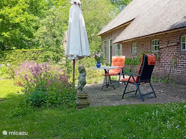 Location de Vacances Pays-Bas, Drenthe, Benneveld, appartement - Appartement de vacances 'Sous le tilleul' La terrasse.
