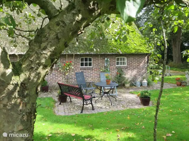 Location de Vacances Pays-Bas, Drenthe, Benneveld, appartement - Appartement de vacances 'Sous le tilleul' Votre propre jardin avec terrasse.