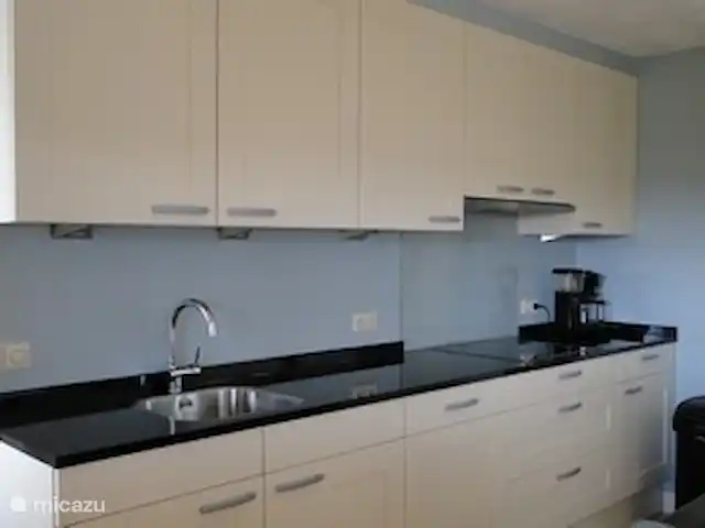 Belle vue avec piscine et sauna | Pays-Bas, Brabant-Septentrional, Boekel - maison de vacances cuisine