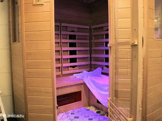 Belle vue avec piscine et sauna | Pays-Bas, Brabant-Septentrional, Boekel - maison de vacances Sauna