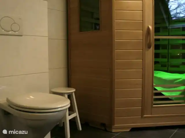 Belle vue avec piscine et sauna | Pays-Bas, Brabant-Septentrional, Boekel - maison de vacances sauna