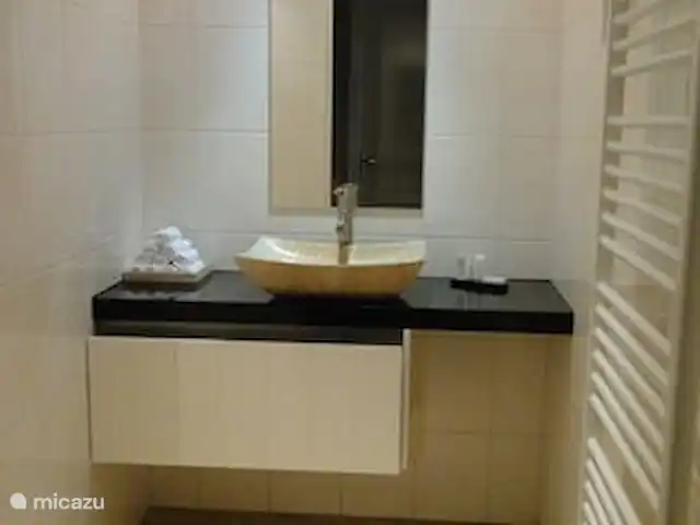 Belle vue avec piscine et sauna | Pays-Bas, Brabant-Septentrional, Boekel - maison de vacances salle de bain du bas