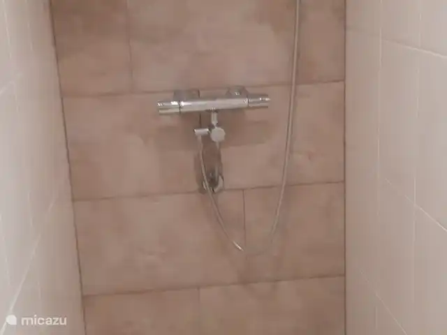 Belle vue avec piscine et sauna | Pays-Bas, Brabant-Septentrional, Boekel - maison de vacances Salle de bain douche en bas.