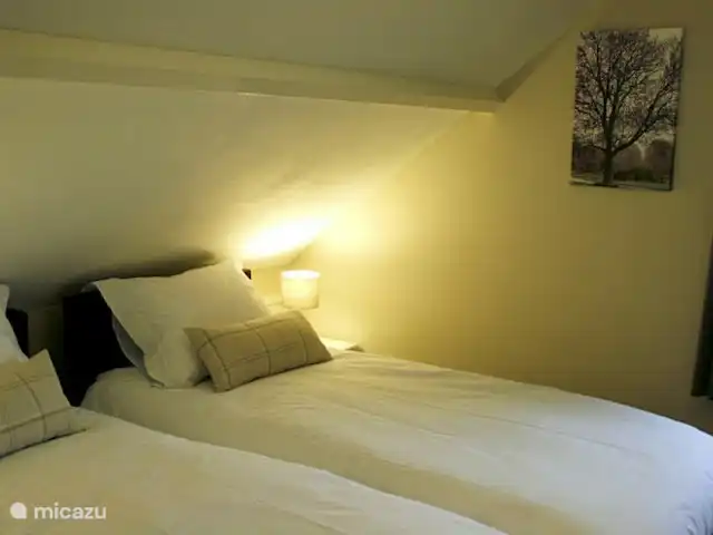 Belle vue avec piscine et sauna | Pays-Bas, Brabant-Septentrional, Boekel - maison de vacances chambre 4