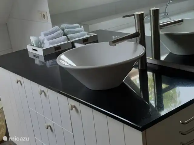 Belle vue avec piscine et sauna | Pays-Bas, Brabant-Septentrional, Boekel - maison de vacances Lavabo de salle de bain à l'étage.