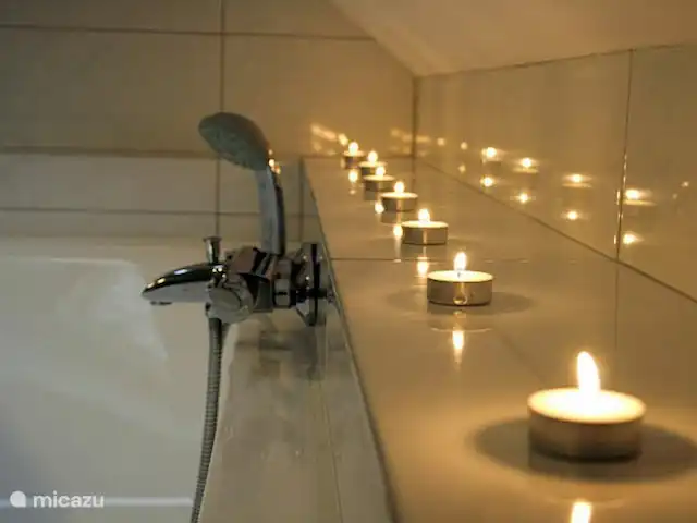 Belle vue avec piscine et sauna | Pays-Bas, Brabant-Septentrional, Boekel - maison de vacances bain merveilleux