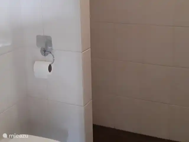 Belle vue avec piscine et sauna | Pays-Bas, Brabant-Septentrional, Boekel - maison de vacances Troisième salle de bain avec douche.