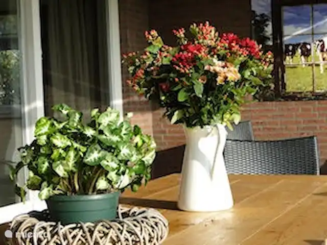 Belle vue avec piscine et sauna | Pays-Bas, Brabant-Septentrional, Boekel - maison de vacances Terrasse extérieure