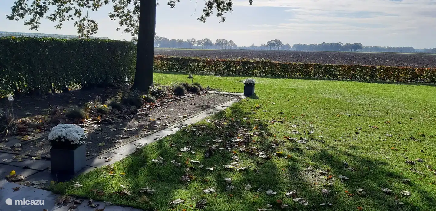 Jeu de boules-Platz.