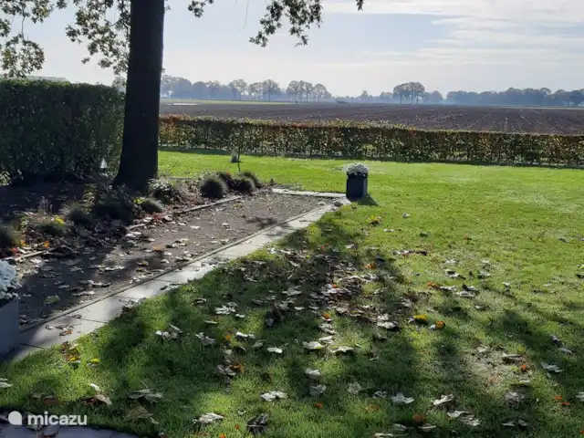 Belle vue avec piscine et sauna | Pays-Bas, Brabant-Septentrional, Boekel - maison de vacances Terrain de jeu de boules.