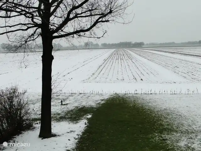 Belle vue avec piscine et sauna | Pays-Bas, Brabant-Septentrional, Boekel - maison de vacances scène d'hiver