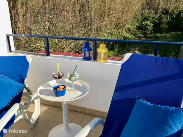 Bico das Flores 1 | Portugal, Costa Verde, Praia De Mira - maison de vacances