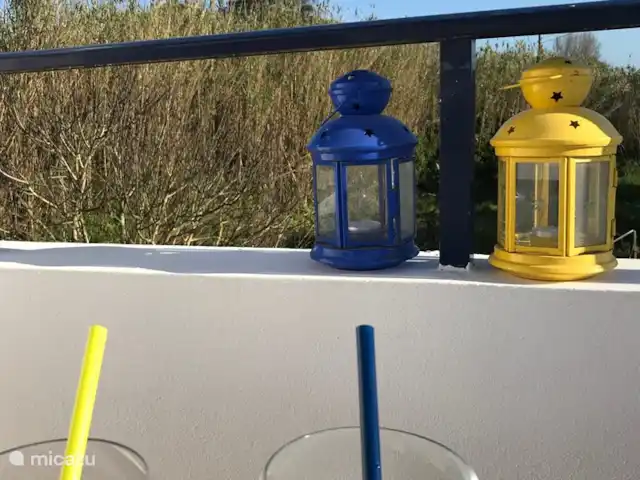 Bico das Flores 1 | Portugal, Costa Verde, Praia De Mira - maison de vacances