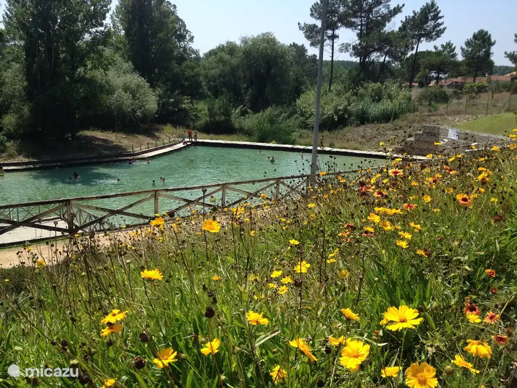 Kostenlose Schwimmen an der Quelle (16 km von der Wohnung)