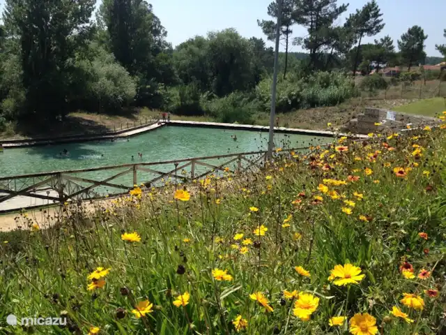 Bico das Flores 1 | Portugal, Costa Verde, Praia De Mira - maison de vacances Baignade gratuite au printemps (à 16 km de la résidence)
